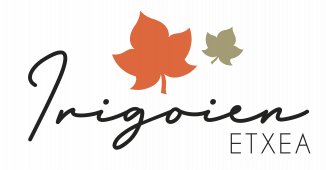 gallery/logo irigoien 3